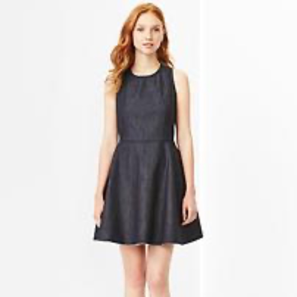 GAP blue Fit and Flare denim Dress 6 Tall